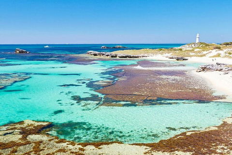 Rottnest Island Bayseeker Day Trip From Perth - Restaurant Find 4