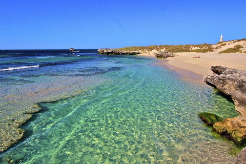 Rottnest Island Bayseeker Day Trip From Perth - Restaurant Find 5