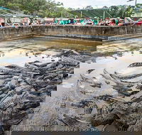 Hartley's Crocodile Adventures Day Trip from Palm Cove - Restaurant Find