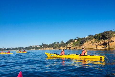 Mornington Peninsula Kayak Coastline Tour Of Dolphin Sanctuary - Restaurant Find 1