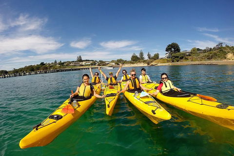 Mornington Peninsula Kayak Coastline Tour Of Dolphin Sanctuary - Restaurant Find 2