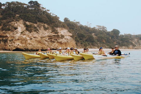 Mornington Peninsula Kayak Coastline Tour Of Dolphin Sanctuary - Restaurant Find 4