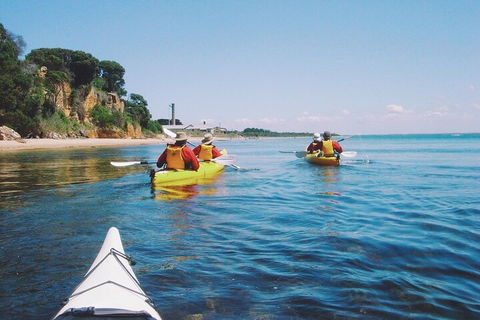 Mornington Peninsula Kayak Coastline Tour Of Dolphin Sanctuary - Restaurant Find 5