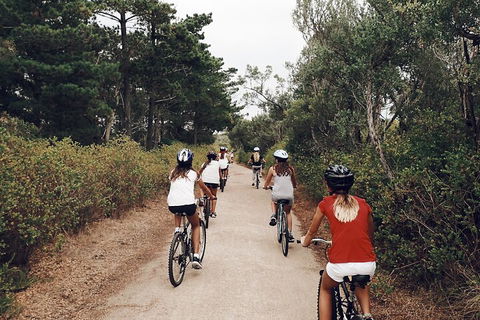 Self-Guided Point Nepean National Park Bike Hire - Restaurant Find 3