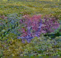 Litchfield Park  Daly River - Scenic Flight From Darwin - Restaurant Find