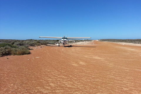 Abrolhos Islands Scenic Flight & Snorkel Adventure From Perth - Restaurant Find 3