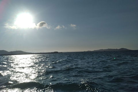Townsville Small Group Early Morning Sailing Cruise Boat Tour Charter Hire - Restaurant Find 4