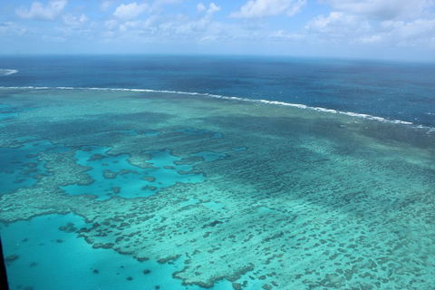 Reef And Island Scenic Flight From Airlie Beach - Restaurant Find 1
