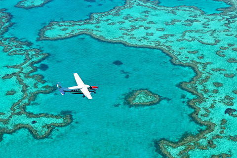 Reef And Island Scenic Flight From Airlie Beach - Restaurant Find 4