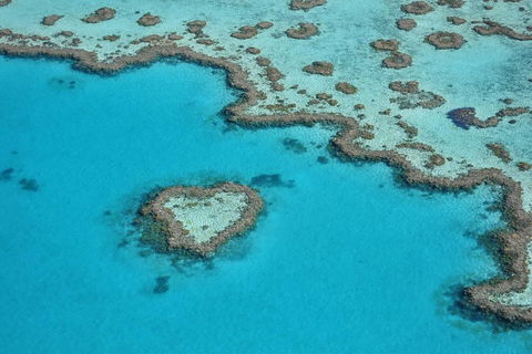 Reef And Island Scenic Flight From Airlie Beach - Restaurant Find 5