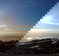 Mount Wellington Descent Cycling Tour departs Hobart - Restaurant Find