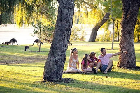 Full-Day Pinnacles Desert And Yanchep National Park Tour From Perth - Restaurant Find 3
