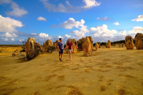 Half Day Pinnacles Sunset Tour - Restaurant Find 1
