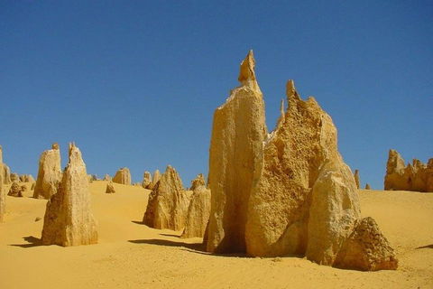 Half Day Pinnacles Sunset Tour - Restaurant Find 2