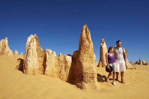 Half Day Pinnacles Sunset Tour - Restaurant Find 4