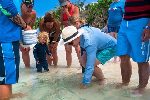 Whitehaven Beach And Hamilton Island Cruise - Restaurant Find 1
