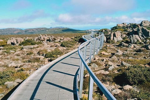 Mount Wellington Ultimate Experience Tour From Hobart - Restaurant Find 2