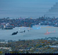 30-Minute Sydney Harbour and Olympic Park Helicopter Tour - Restaurant Find