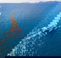 2-Night Whitsunday Islands Sailing Adventure on Trimaran Avatar - Restaurant Find
