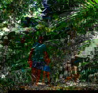 Full Day Daintree Rainforest and Mossman Gorge Tour - Restaurant Find