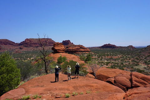 Palm Valley And Hermannsburg 1 Day 4WD Tour - Restaurant Find 2