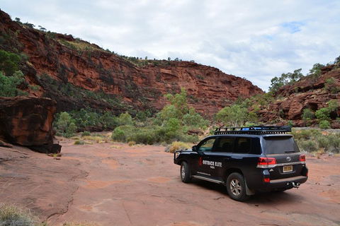 Palm Valley And Hermannsburg 1 Day 4WD Tour - Restaurant Find 5
