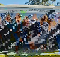 Full Day Mount Tamborine Winery Tour from Gold Coast - Restaurant Find