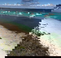 Experience Rottnest with Ferry  Bike Hire from Perth or Fremantle - Restaurant Find