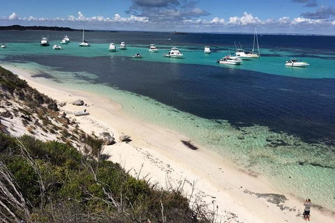 Experience Rottnest With Ferry & Bike Hire From Perth Or Fremantle - Restaurant Find 0