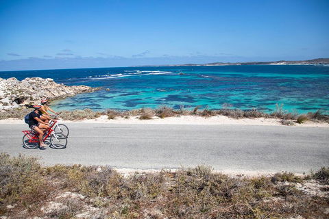 Experience Rottnest With Ferry & Bike Hire From Perth Or Fremantle - Restaurant Find 2