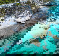 Rottnest Island Round-Trip Ferry from Perth or Fremantle - Restaurant Find