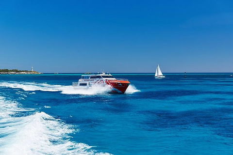 Rottnest Island Round-Trip Ferry From Perth Or Fremantle - Restaurant Find 4