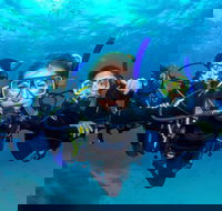 Great Barrier Reef Diving and Snorkeling Cruise from Cairns - Restaurant Find