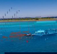 Ocean Free Green Island  Great Barrier Reef Snorkel Cruise Cairns 25 guests - Restaurant Find