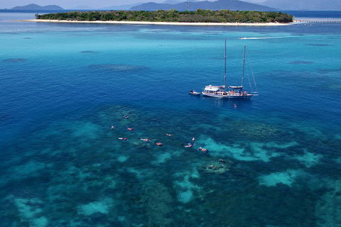 Ocean Free Green Island & Great Barrier Reef Snorkel Cruise, Cairns 25 Guests - Restaurant Find 2