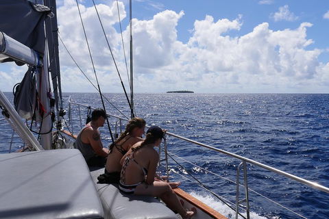 Ocean Free Green Island & Great Barrier Reef Snorkel Cruise, Cairns 25 Guests - Restaurant Find 4