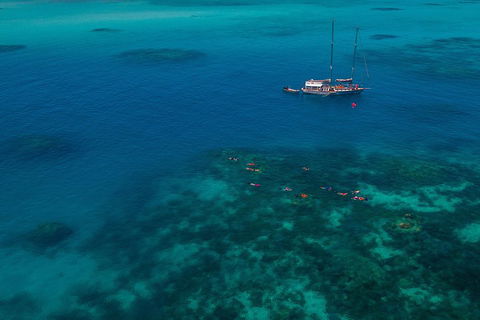 Ocean Free Green Island & Great Barrier Reef Snorkel Cruise, Cairns 25 Guests - Restaurant Find 5