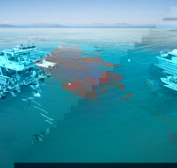 Ocean Freedom Great Barrier Reef Personal Luxury Snorkel  Dive Cruise Cairns - Restaurant Find