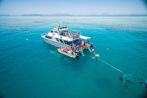 Ocean Freedom Great Barrier Reef Personal Luxury Snorkel & Dive Cruise, Cairns - Restaurant Find 0