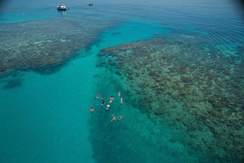 Ocean Freedom Great Barrier Reef Personal Luxury Snorkel & Dive Cruise, Cairns - Restaurant Find 3
