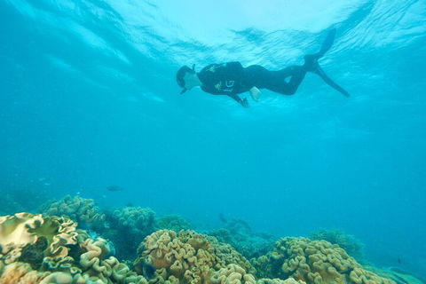 Ocean Freedom Great Barrier Reef Personal Luxury Snorkel & Dive Cruise, Cairns - Restaurant Find 5