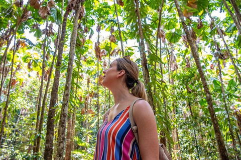 5 Day Australia Retreat: Queensland Daintree - Restaurant Find 0