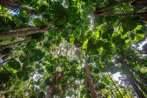 5 Day Australia Retreat: Queensland Daintree - Restaurant Find 2