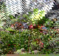 Australian Butterfly Sanctuary - Restaurant Find