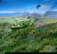 Best of Kuranda Including Skyrail Kuranda Scenic Railway and Rainforestation - Restaurant Find