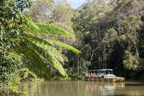 Best Of Kuranda Including Skyrail, Kuranda Scenic Railway And Rainforestation - Restaurant Find 5