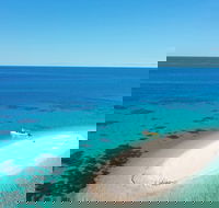 Ocean Safari Great Barrier Reef Experience in Cape Tribulation - Restaurant Find