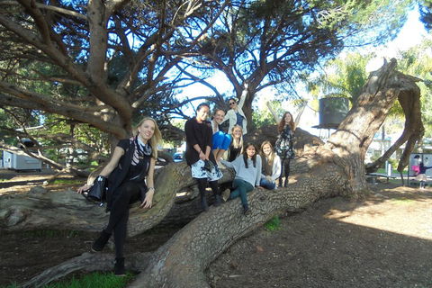 1/2 Day Swan Valley Wine Cheese & Chocolate Tour Inc Afternoon Cruise To Perth - Restaurant Find 0