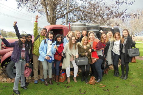 1/2 Day Swan Valley Wine Cheese & Chocolate Tour Inc Afternoon Cruise To Perth - Restaurant Find 5