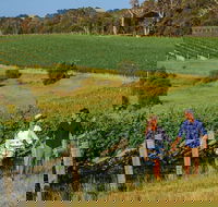 10 Day Perth to Adelaide Private Tour - The Great Australian Wilderness Journey - Restaurant Find